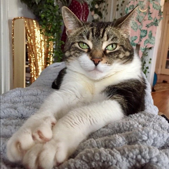 Meet your Posher, Louise - Picture 7 of 9